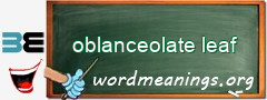 WordMeaning blackboard for oblanceolate leaf